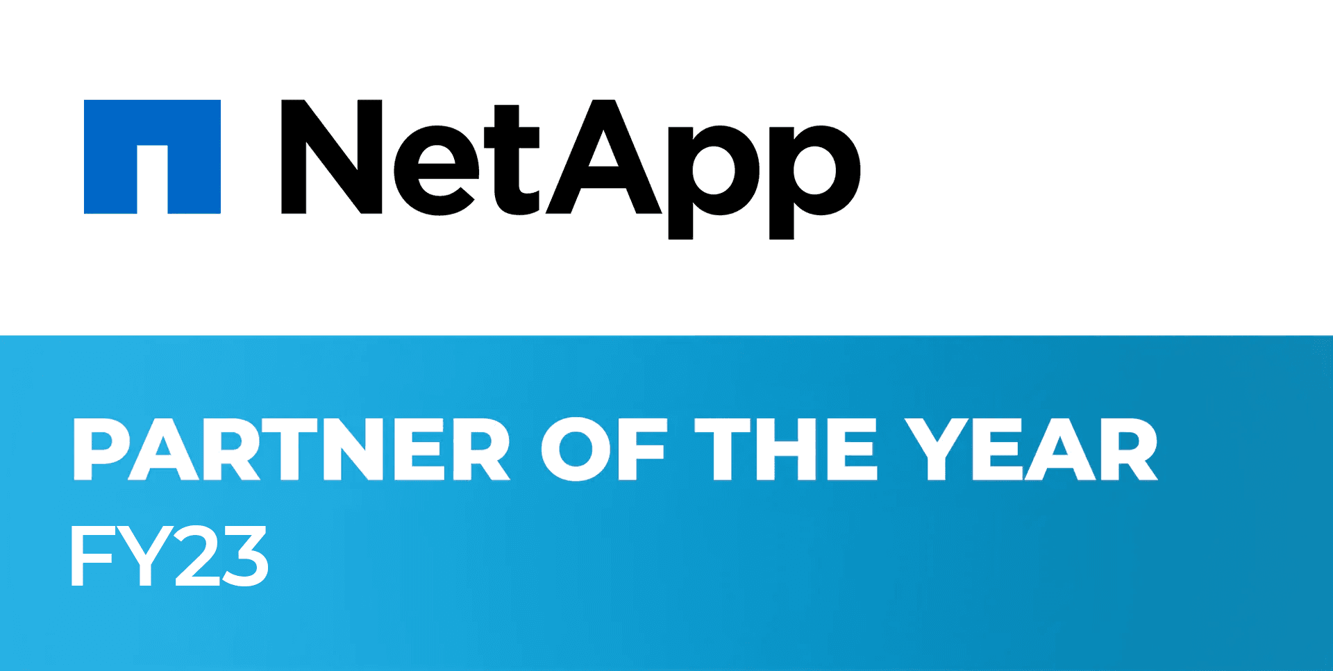 Partner of the Year FY 23 from NetApp