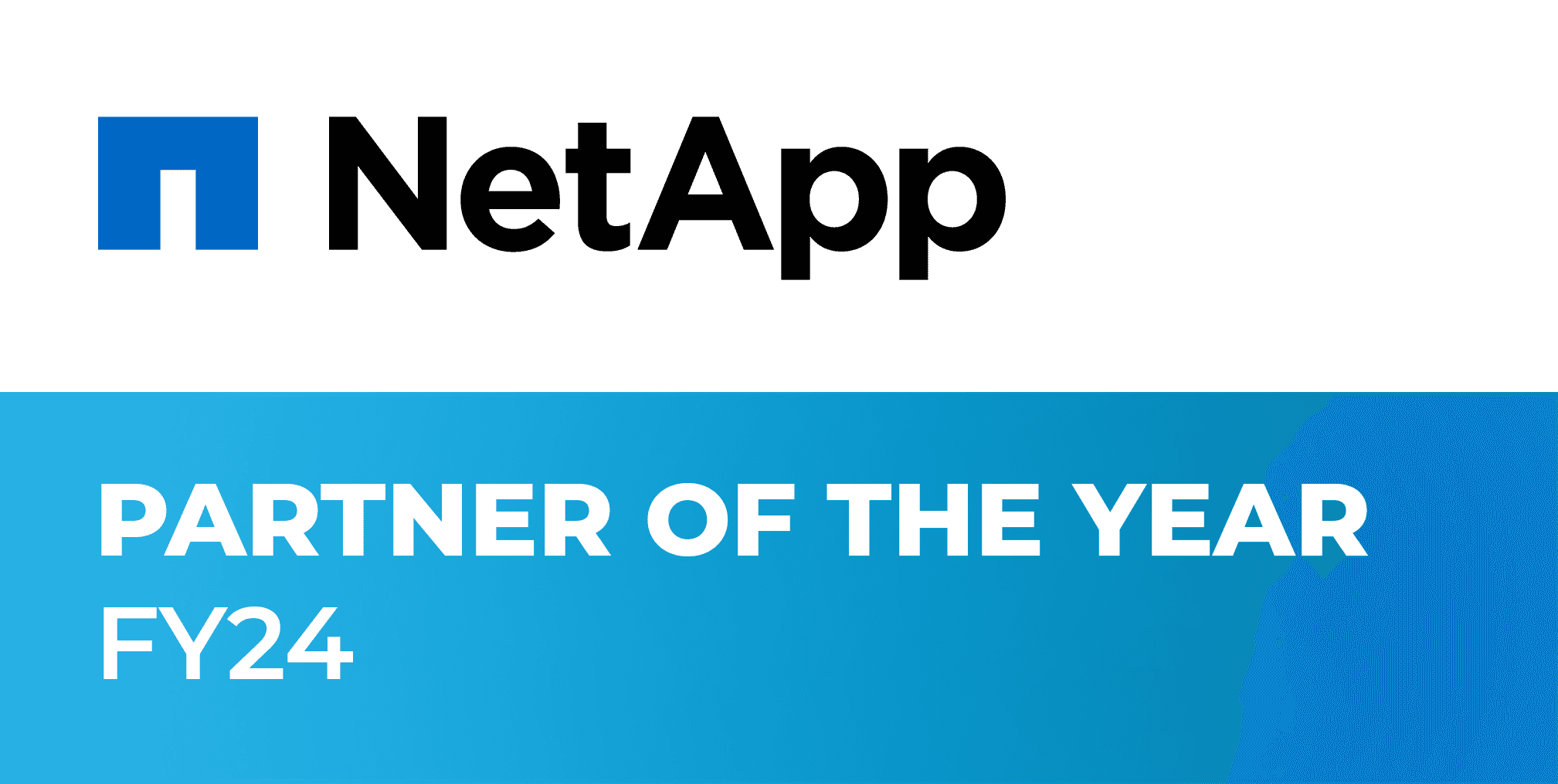 PARTNER OF THE YEAR FY24